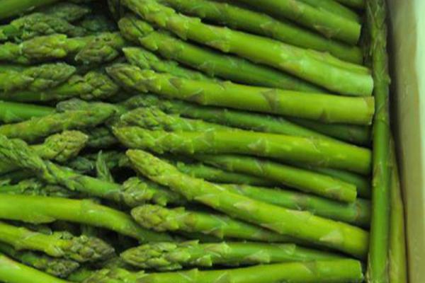 蘆筍市場價格多少錢一斤 蘆筍是什么季節的