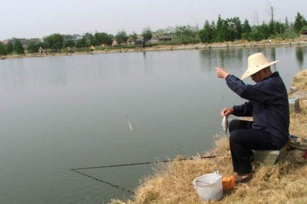 塘角魚(yú)怎么釣 釣塘角魚(yú)技巧(冬天)