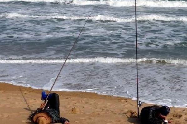 釣梭魚用什么餌 梭魚釣底還是釣浮