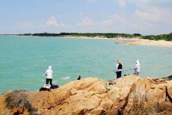 釣梭魚用什么餌 梭魚釣底還是釣浮