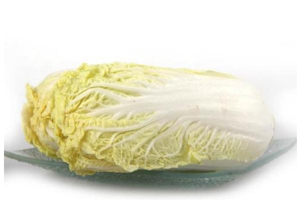 娃娃菜怎么育苗 娃娃菜種植密度控制在多少