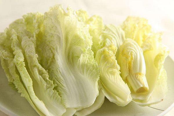 娃娃菜怎么育苗 娃娃菜種植密度控制在多少