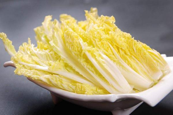 娃娃菜怎么育苗 娃娃菜種植密度控制在多少