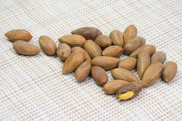 香榧是什么東西 香榧好吃嗎 香榧子產地在哪里