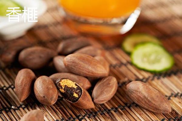 紅豆杉、三尖杉、香榧、粗榧、木榧之間的區別是什么 它們的果實都能吃嗎