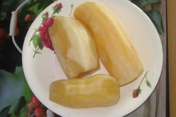 雪蓮果適合在哪里生長 雪蓮果種植條件