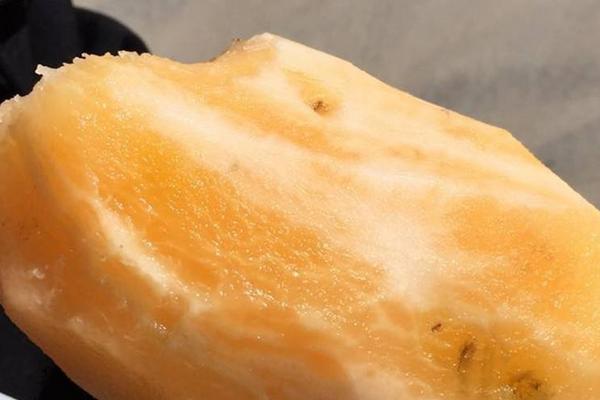 雪蓮果適合在哪里生長 雪蓮果種植條件