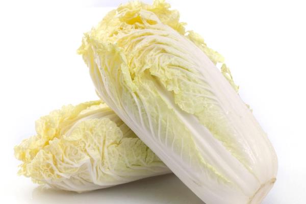 娃娃菜種植前景如何 娃娃菜畝產量及利潤有多少