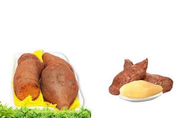 雪蓮果市場價格多少錢一斤 雪蓮果什么時候成熟上市(幾月)