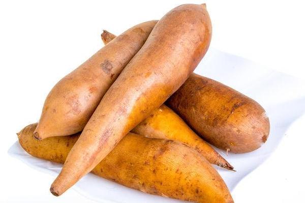 買來切開的雪蓮果可以當種子種嗎 雪蓮果種子去哪里買