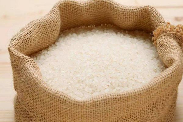 懶人稻適合哪些地區(qū)種植 為什么不推廣懶人稻