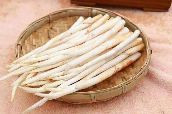 象牙菜種植栽培技術(shù) 象牙菜畝產(chǎn)量多少