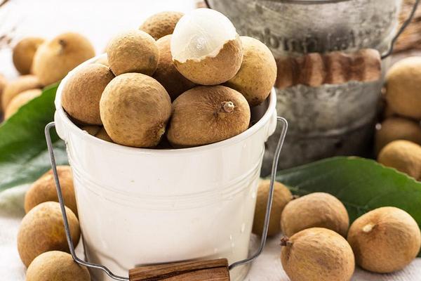 四季蜜龍眼種植方法 四季蜜龍眼種植條件