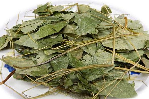 淫羊藿市場價格多少錢一斤 淫羊藿產(chǎn)地在哪里