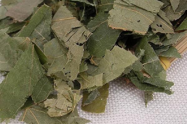 淫羊藿市場價格多少錢一斤 淫羊藿產(chǎn)地在哪里