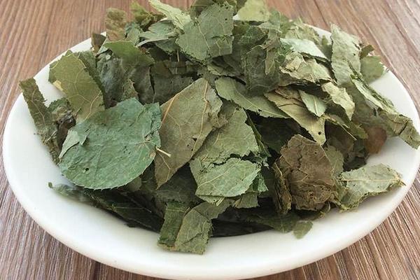 淫羊藿市場價格多少錢一斤 淫羊藿產(chǎn)地在哪里