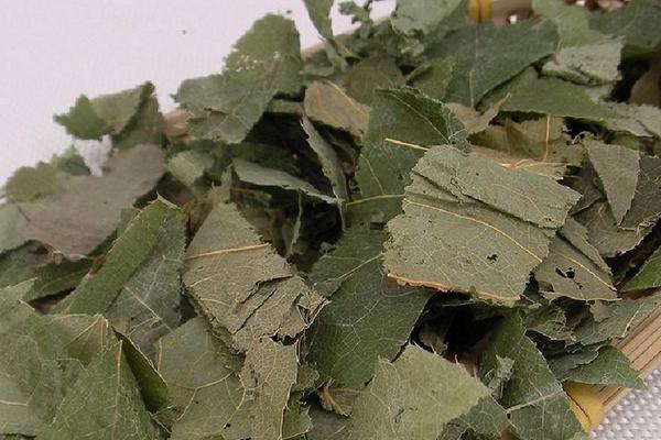 霪羊藿一畝地能產(chǎn)多少 霪羊藿種植每畝成本多大