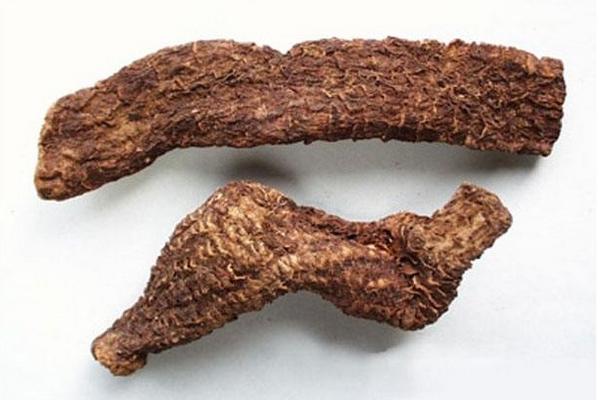 肉蓯蓉有保質(zhì)期嗎 新鮮肉蓯蓉怎么處理