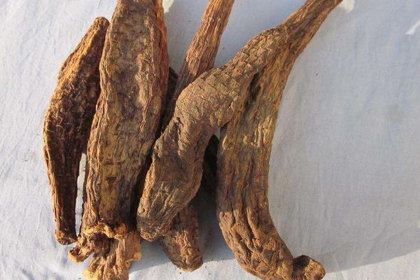 肉蓯蓉有保質(zhì)期嗎 新鮮肉蓯蓉怎么處理