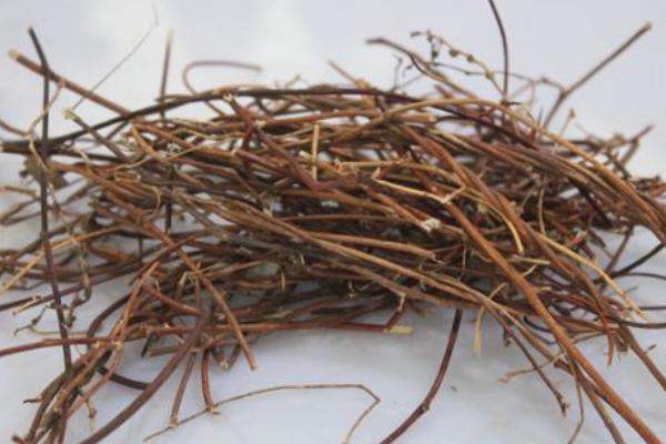 雞骨草市場價格多少錢一斤 雞骨草有幾種