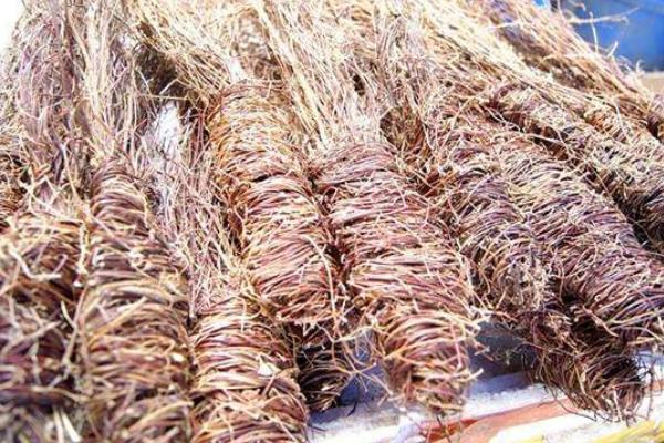 雞骨草市場價格多少錢一斤 雞骨草有幾種