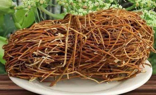 雞骨草市場價格多少錢一斤 雞骨草有幾種