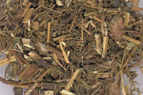 唐松草的栽培技術 唐松草的應用價值