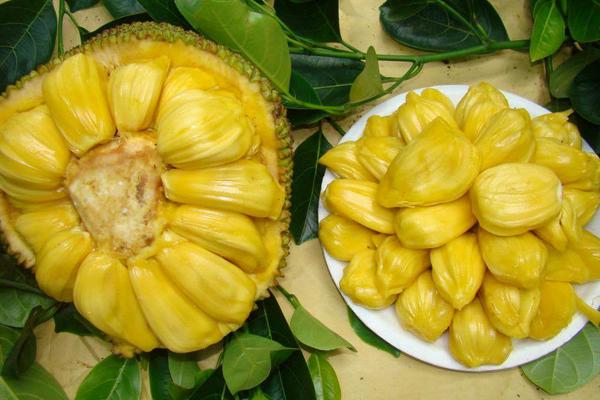 蜜多羅市場價格多少錢一斤 蜜多羅的籽可以吃嗎