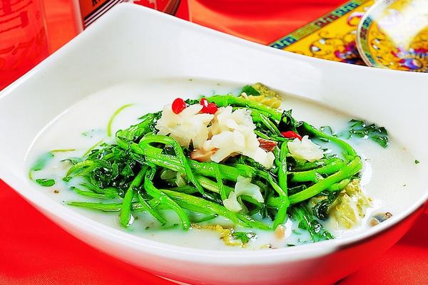 豆瓣菜種植時間 豆瓣菜種植技術(shù)