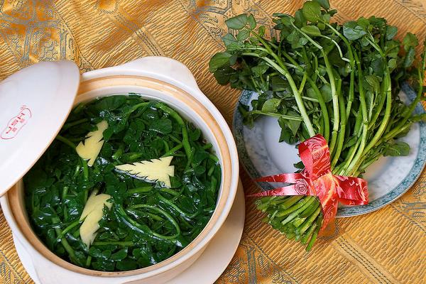 豆瓣菜種植時間 豆瓣菜種植技術(shù)