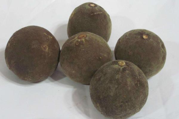 化橘紅市場價格多少錢一斤 化橘紅一斤有幾個