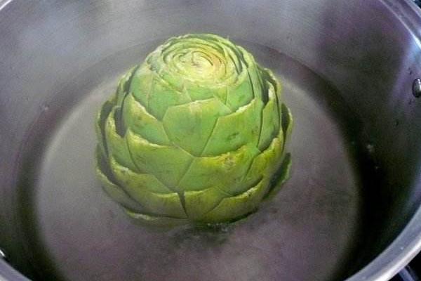 朝鮮薊市場(chǎng)價(jià)格多少錢一斤 朝鮮薊產(chǎn)地在哪里