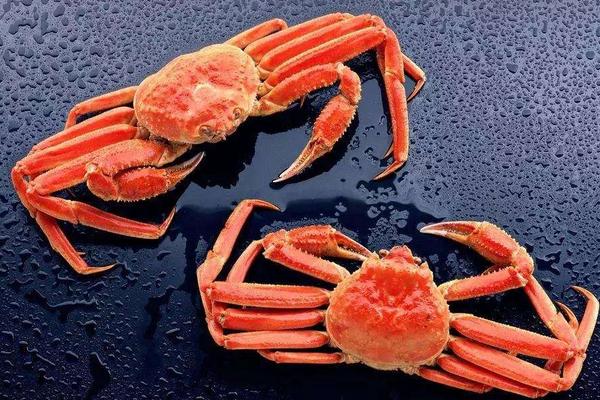 吃蟹能喝酸奶嗎 芒果和酸奶能一起吃嗎