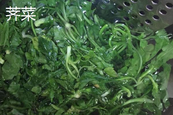 薺菜與薺薺菜、野芥菜、蒲公英、獨行菜的區(qū)別是什么 薺菜與薺薺菜、野芥菜、蒲公英、獨行菜都能吃嗎