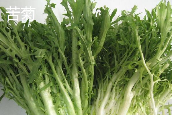 苦苣和苦菊、茼蒿、薺菜的區別是什么