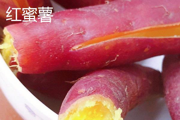 紅蜜薯市場價格多少錢一斤 蜜薯的產地在哪里