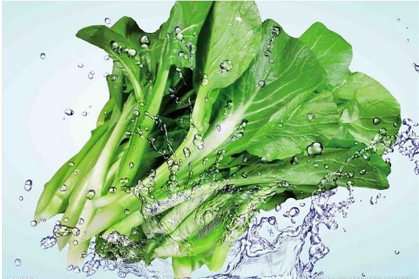 菜心市場價格多少錢一斤 菜心產(chǎn)地在哪里