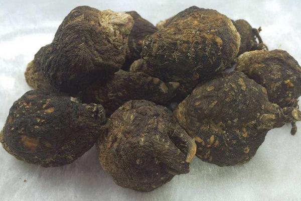 瑪卡的種植前景怎么樣 瑪卡畝產量多少斤