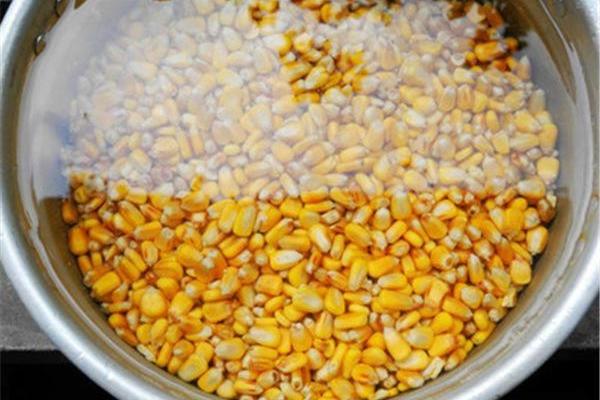 玉米為什么要泡水喂雞 雞吃煮好的玉米好嗎