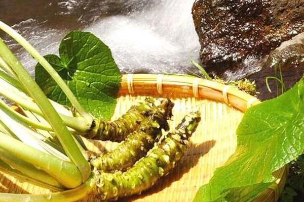 東北人說的辣根是什么 飯店里的辣根怎么調(diào)的（醬油還是醋）