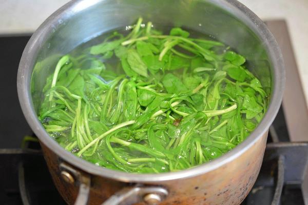 馬蘭頭為什么苦 馬蘭頭苦的能吃嗎(怎么做不苦)