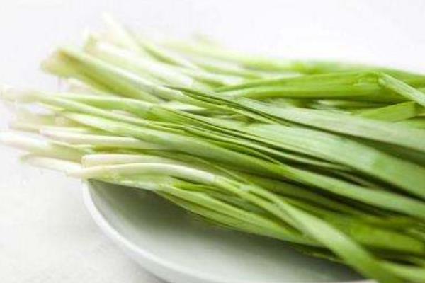 新鮮野韭菜市場(chǎng)價(jià)格多少錢一斤 野韭菜幾月上市