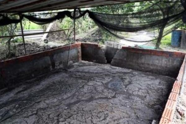 農村小型養豬場污水處理方法 500頭豬場糞便處理方法