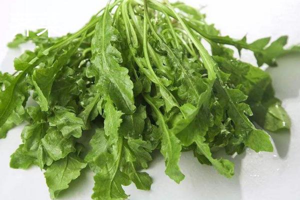 苦菜和曲曲菜、婆婆丁、敗醬草、薺菜的區(qū)別是什么