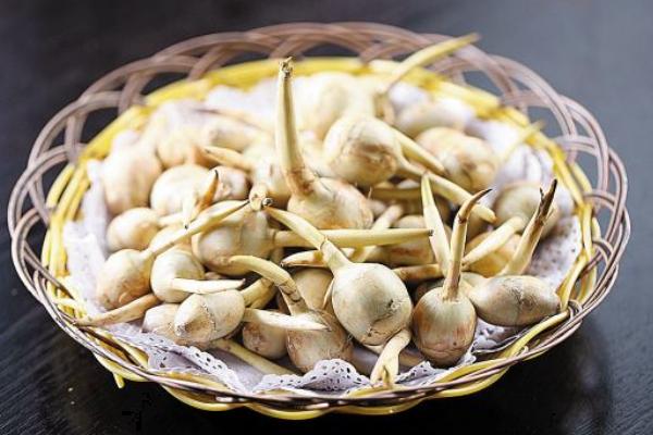 慈姑種子能種嗎 慈姑種植技術(shù)