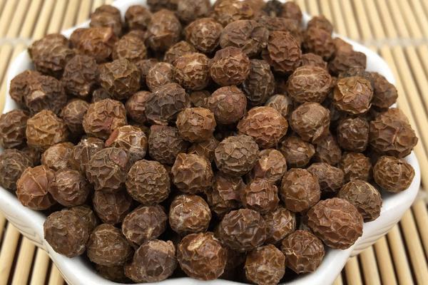 梧桐子是什么樹結的 梧桐子可以榨油嗎