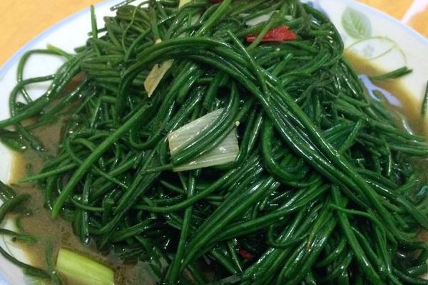 什么地適合種植沙蔥 北方能種植沙蔥嗎