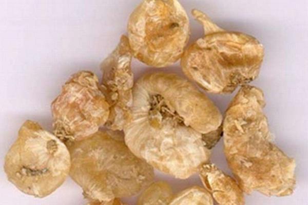 薤白能產生種子嗎 哪里有薤白種子買