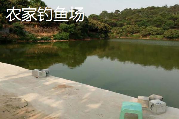 現在什么生意在鄉鎮好做 10個低成本高收益項目推薦