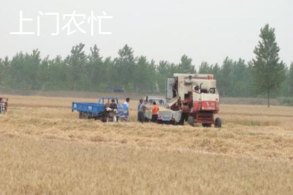 現在什么生意在鄉鎮好做 10個低成本高收益項目推薦